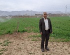 بررسی میدانی وضعیت رشد، آبیاری و تغذیه مزارع پرورش بذر گندم