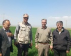 بازدید میدانی مسئول ثبت و گواهی بذر و نهال واحد استان از مزارع بذری شهرستان کوهدشت
