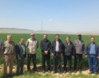 بازدید میدانی مسئول ثبت و گواهی بذر و نهال واحد استان از مزارع بذری شهرستان کوهدشت