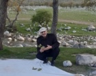 فاز دوم طرح پایش آفات و بیماری‌های مهم جنگلی و مرتعی زاگرس کلید خورد