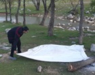 فاز دوم طرح پایش آفات و بیماری‌های مهم جنگلی و مرتعی زاگرس کلید خورد