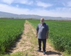 بازبینی تخصصی مزارع بذری در لرستان؛ آغاز فصل تصمیم‌های علمی و عملیاتی