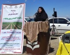 برگزاری روز مزرعه با محوریت معرفی کشت ۴ ردیفه گندم روی پشته در شهرستان ازنا