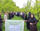 برگزاری رویداد ترویجی انتقال یافته‌های تحقیقاتی با محوریت کنترل شیمیایی شانکر باکتریایی