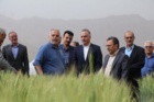پیش‌بینی تولید ۱۴ میلیون تن گندم در کشور / تأمین امنیت غذایی بدون نگرانی