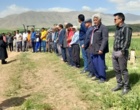 تأکید رئیس بخش تحقیقات گیاه‌پزشکی مرکز تات لرستان بر ضرورت پایش و مبارزه به‌موقع با سن گندم