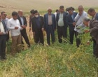 برگزاری دوره آموزش عملی کارشناسان و بهره‌برداران شهرستان خرم‌آباد