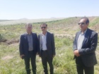 برداشت موفق کشت آبی موسیر در روستای چنارحمام خرم‌آباد
