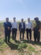 برداشت موفق کشت آبی موسیر در روستای چنارحمام خرم‌آباد