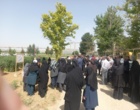 «روز مزرعه و انتقال یافته‌های تحقیقاتی» در لرستان؛ پیوند علم و مزرعه برای افزایش بهره‌وری کشاورزی