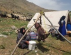 الگوی عملیاتی «جهاد خدمت» در زیست‌بوم عشایری بروجرد با محوریت ارتقای سلامت و تاب‌آوری اقتصادی