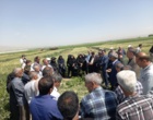 پیوند دانش و مزرعه در روز مزرعه کشت باقلای بروجرد