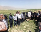 پیوند دانش و مزرعه در روز مزرعه کشت باقلای بروجرد