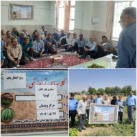برگزاری روز انتقال یافته‌ها با عنوان "آفات و بیماری‌های لوبیا"