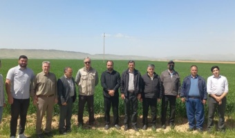 بازدید میدانی مسئول ثبت و گواهی بذر و نهال واحد استان از مزارع بذری شهرستان کوهدشت