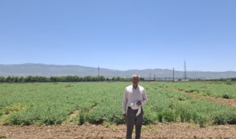 توسعه تحقیقات کاربردی؛ راهبردی مؤثر برای افزایش بهره‌وری کشاورزی در لرستان