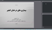 برگزاری دوره وبیناری بیماری‌های درختان انجیر در لرستان
