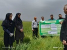 روز انتقال یافته‌های تحقیقاتب «مبارزه با عوامل خسارت‌زای مزارع گندم؛ سن غلات و بیماری زنگ زرد»
