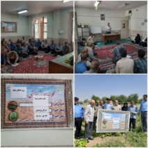 برگزاری روز انتقال یافته‌ها با عنوان &quot;تغذیه گیاهی لوبیا&quot;