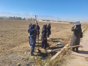 اجرای عملیات آماده‌سازی زمین در درس کاشت گیاهان زراعی