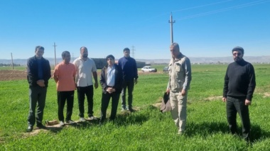 با آغاز پایش میدانی مزارع بذری گندم، وضعیت سطح سبز در شهرستان کوهدشت مطلوب ارزیابی شد