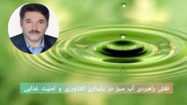 نقش راهبردی آب سبز در پایداری کشاورزی و امنیت غذایی؛ محور پژوهش‌های جدید بخش تحقیقات خاک و آب مرکز تات لرستان