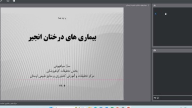 برگزاری دوره وبیناری بیماری‌های درختان انجیر در لرستان