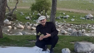 فاز دوم طرح پایش آفات و بیماری‌های مهم جنگلی و مرتعی زاگرس کلید خورد