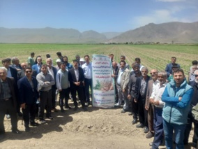 برگزاری رویداد ترویجی–آموزشی «پتانسیل عملکرد با رویکرد اصلاح الگوی کشت» با تاکید بر گندم و چغندرقند