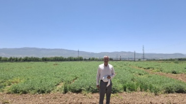 توسعه تحقیقات کاربردی؛ راهبردی مؤثر برای افزایش بهره‌وری کشاورزی در لرستان