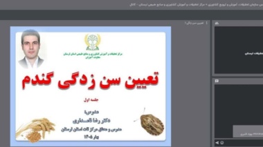 تکنیک‌های نوین در «تشخیص و پایش سن‌زدگی گندم»؛ از دریچه استودیو کشاورز در دسترس بهره‌برداران لرستان