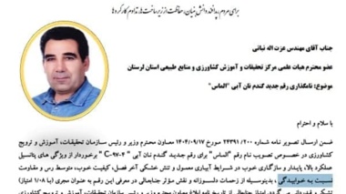 معرفی رقم جدید گندم نان آبی "الماس" توسط عزت اله نباتی عضو هیئت علمی پردیس تحقیقات و آموزش کشاورزی بروجرد