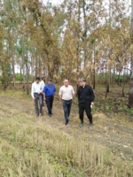 بازدید تخصصی اعضای هیأت علمی از ایستگاه تحقیقات کشاورزی پهناب