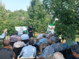 برگزاری دوره آموزشی تخصصی در بازیرکلا برای مدیریت مگس میوه مدیترانه‌ای