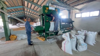 بازدیدی تخصصی از فرآیند بوجاری بذور غلات از شرکت خصوصی بوجاری بذر غلات نشا