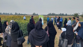 دانش فنی کشت سویا در ایستگاه تحقیقات کشاورزی بایع‌کلا ارائه شد؛