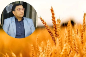 تقدیر از دکتر حسین براری به‌دلیل نقش مؤثر در معرفی رقم گندم نان آبی «افروز»