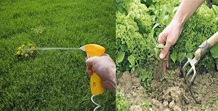 واحد آموزشی ۱