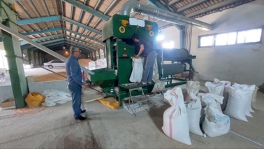 بازدیدی تخصصی از فرآیند بوجاری بذور غلات از شرکت خصوصی بوجاری بذر غلات نشا