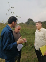 بررسی باغ بذر بلندمازو (Quercus castaneifolia)، پروژه‌ای ملی برای حفاظت ژنتیکی گونه‌ای ارزشمند از جنگل‌های هیرکانی