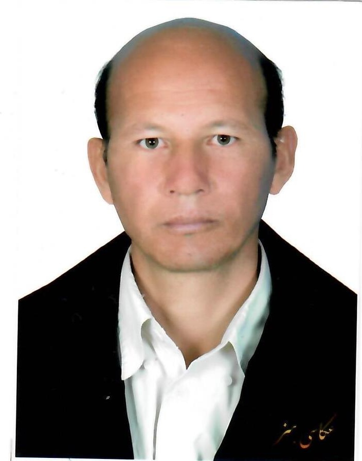 محمود حکیمی
