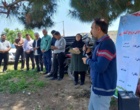 برگزاری روز مزرعه زیره سیاه