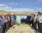 برگزاری روز مزرعه مقایسه ارقام گندم دیم خراسان شمالی  - بجنورد