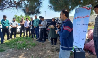 برگزاری روز مزرعه زیره سیاه