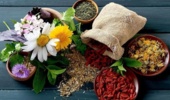 شناسایی بیش از ۴۰۰ گونه گیاه دارویی