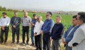 بازدید رئیس موسسه آموزش و ترویج کشاورزی از استان خراسان شمالی