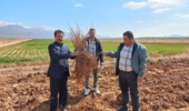 نظارت میدانی بر کیفیت بذر و نهال در خراسان شمالی