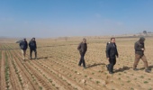 از ایستگاههای تحقیقاتی سیساب و شیروان