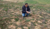 پایش کمی و کیفی پوشش گیاهی مراتع استپی و نیمه استپی (مرتع سیساب شهرستان بجنورد) در دو سایت قرق و تحت چرا