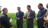 رسیدن به خودکفایی محصولات کشاورزی و پایداری تولید  در گرو  تولید و تامین و استفاده از بذر اصلاح شده